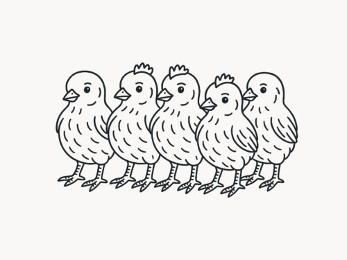 Daggamle kyllinger, usortert